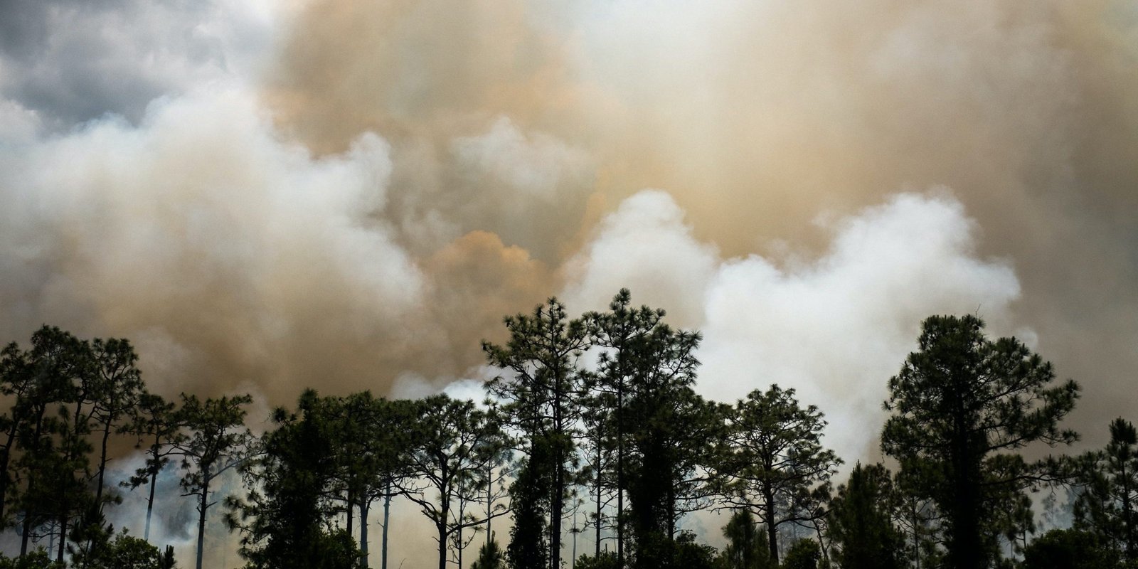 ryan-arnst-q_oAQezJr9U-unsplash