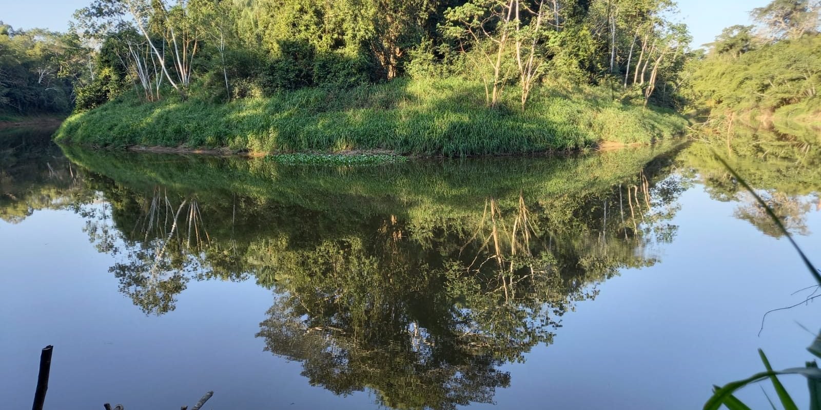 Image 2021-08-23 at 21.57.39